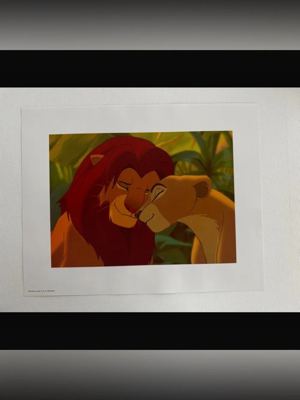 Disney Vintage Lion King Special Edition Movie Lithograph Portfolio